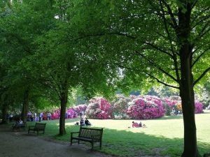 Los mejores parques de Londres