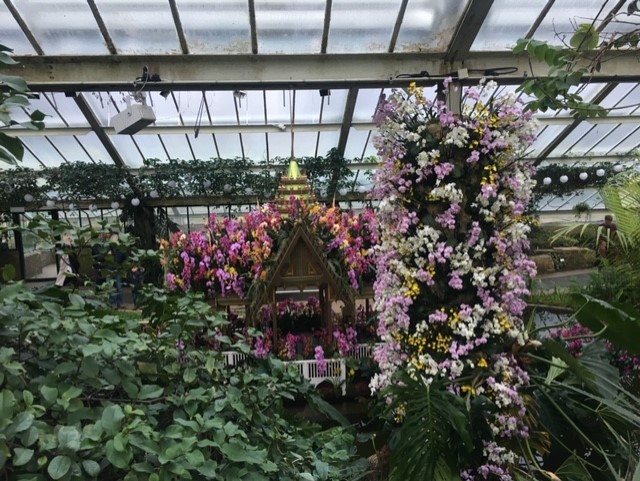 Orquídeas en Kew Gardens