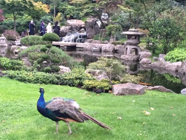 Kyoto gardens